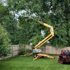 Best Palm Tree Trimming  in Columbus, MS